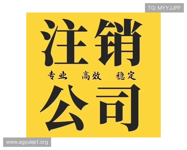 在ag注册中心官网了解不同注册方式的优缺点，选择最适合自己的注册方案提升体验感